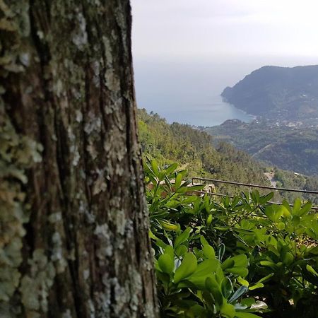 Santuario Ns Soviore Cinque Terre 몬테로소 알 마레 외부 사진