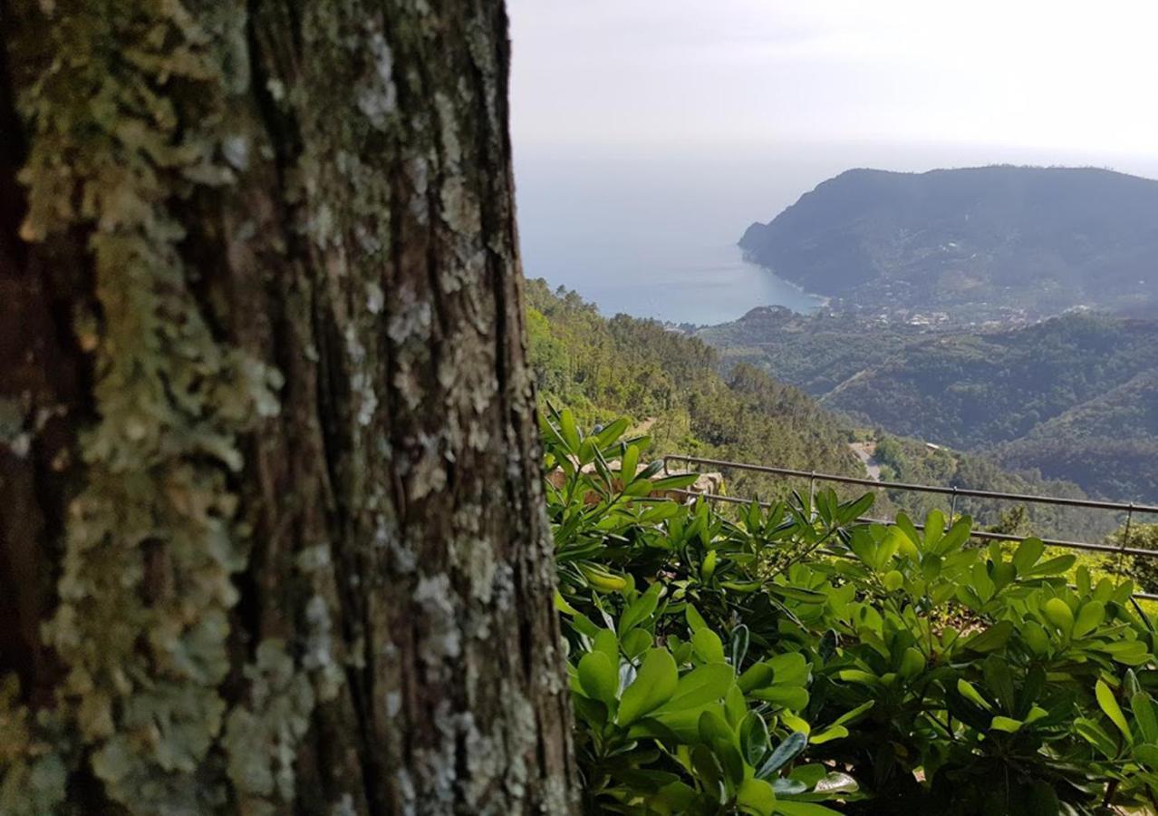 Santuario Ns Soviore Cinque Terre 몬테로소 알 마레 외부 사진